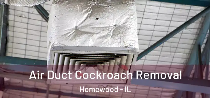  Air Duct Cockroach Removal Homewood - IL