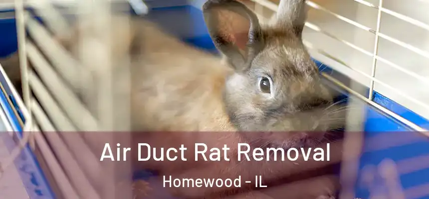  Air Duct Rat Removal Homewood - IL