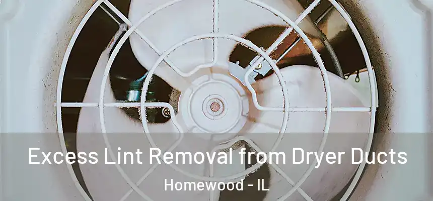  Excess Lint Removal from Dryer Ducts Homewood - IL