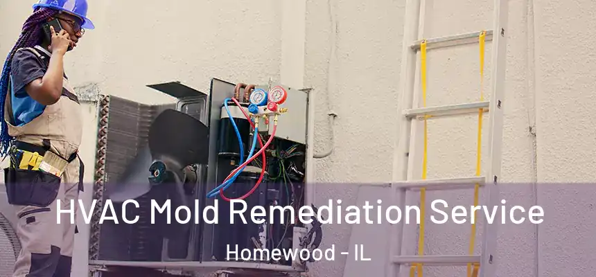  HVAC Mold Remediation Service Homewood - IL