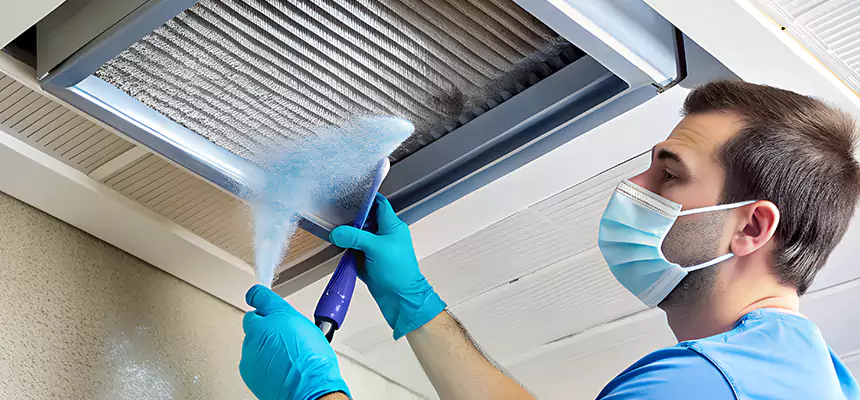 Proactive Dryer Vent & Auxiliary Duct Pollen Cleanup in Homewood, IL