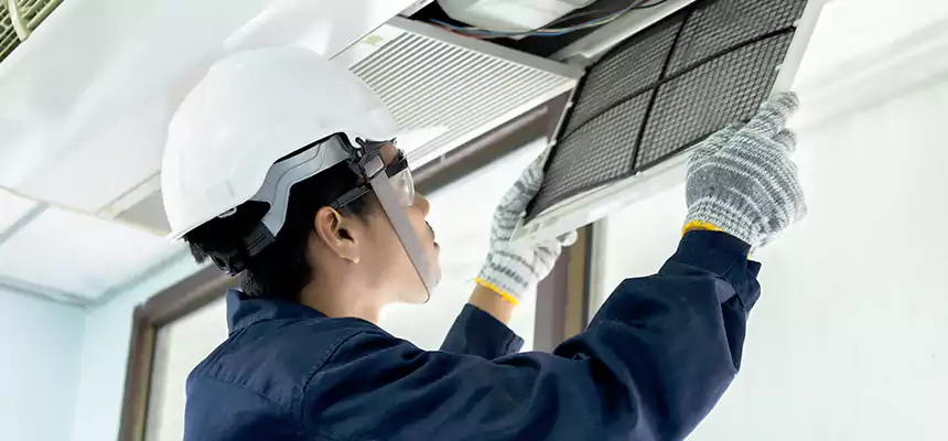 Our Mold & Mildew Removal from Air Ducts Services in Homewood, IL