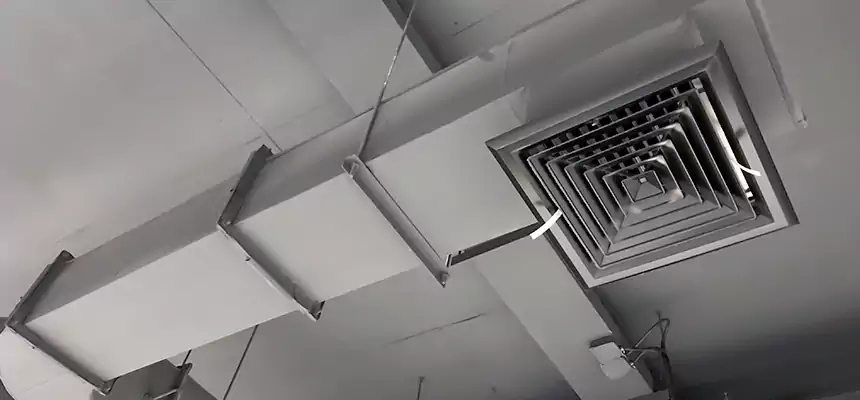 Our Pest Removal From Ducts Services in Homewood, IL