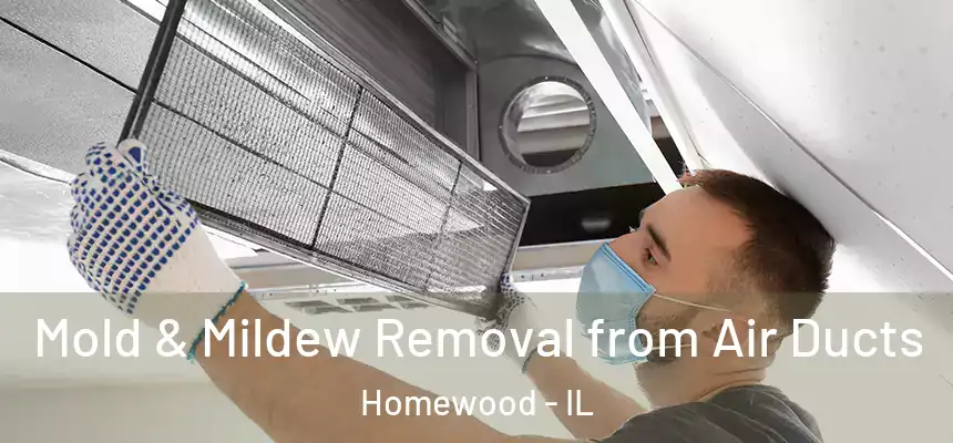  Mold & Mildew Removal from Air Ducts Homewood - IL