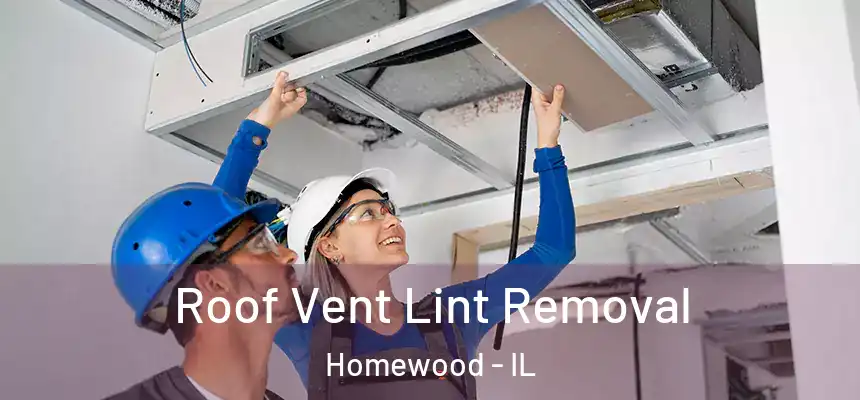  Roof Vent Lint Removal Homewood - IL