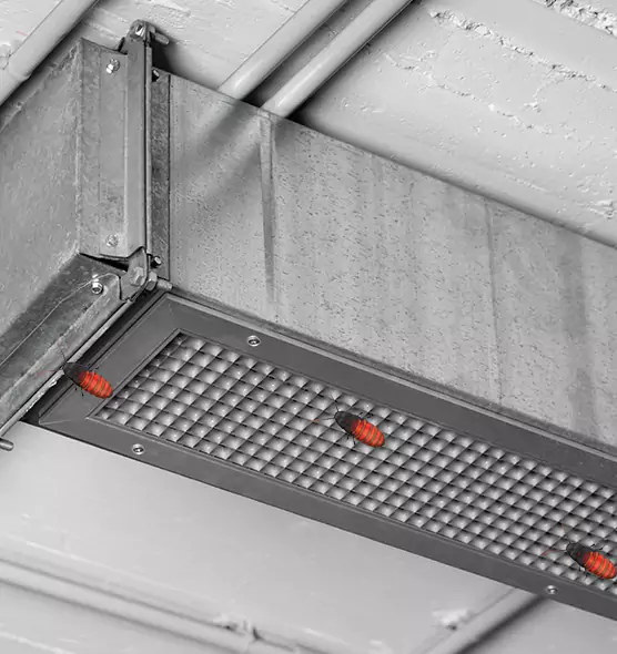 About Air Duct Cockroach Removal in Homewood, IL