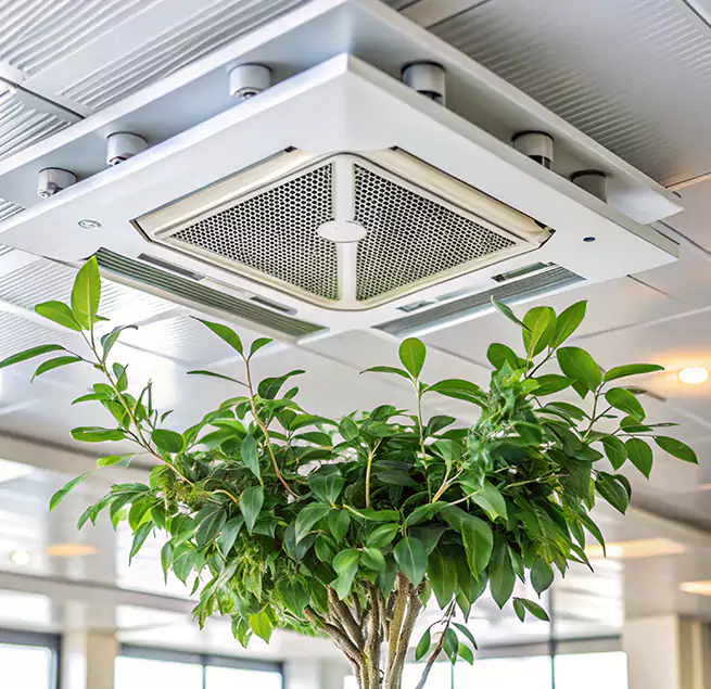 Why Homeowners & Businesses Trust Us in Homewood, IL?